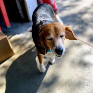 Meet your Posher, Cecelia